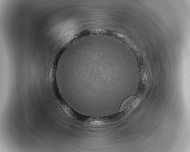 X0000087630658200705101028