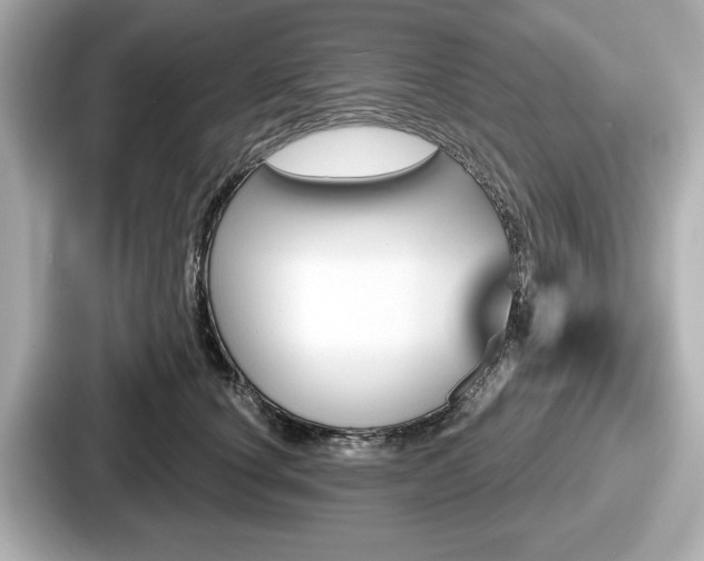 X0000087630660200705101029