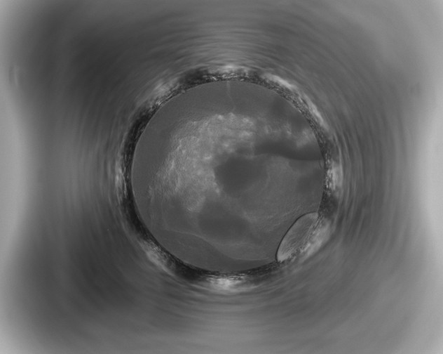 X0000087630662200705101029