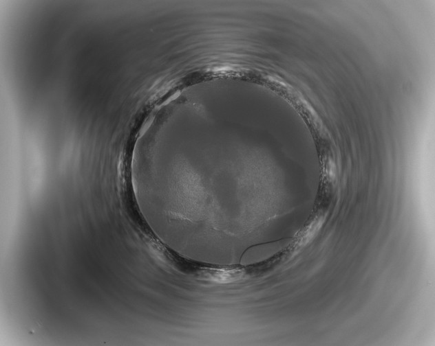 X0000087630663200705101029