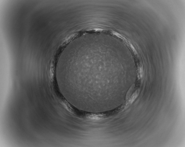 X0000087630664200705101029