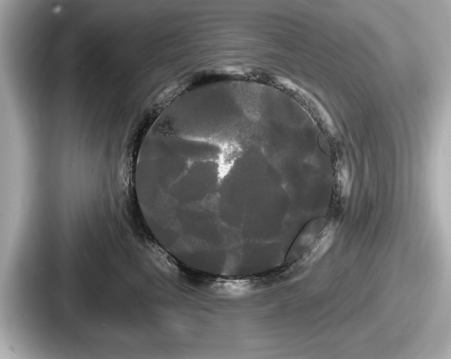 X0000087630665200705101029