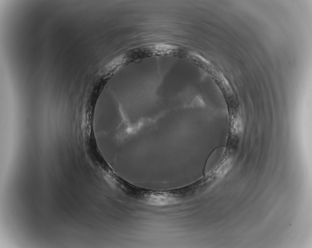 X0000087630666200705101029