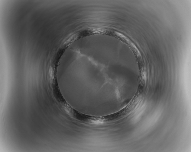 X0000087630667200705101029