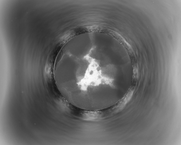 X0000087630671200705101029