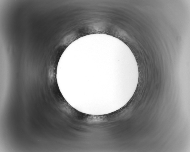 X0000087630672200705101029