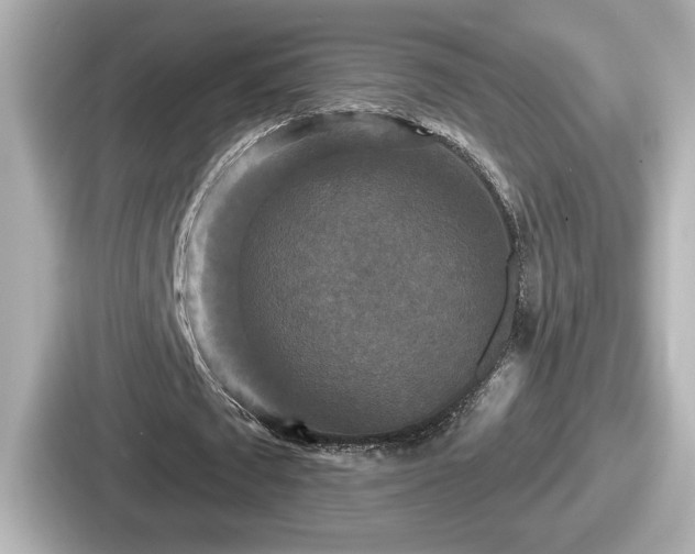 X0000087630673200705101028