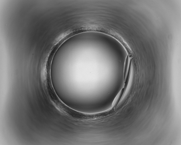 X0000087630674200705101028