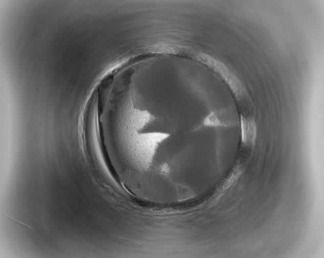 X0000087630675200705101028