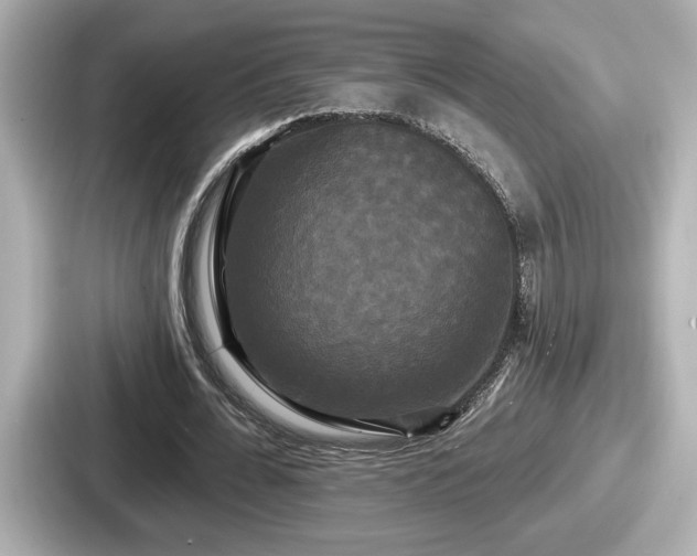 X0000087630676200705101028