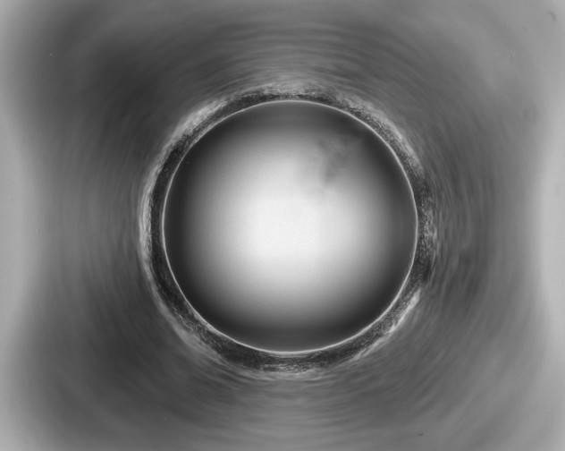 X0000087630678200705101028