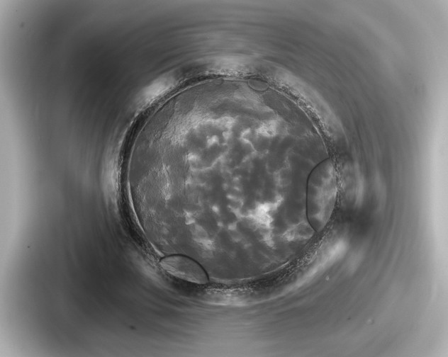 X0000087630679200705101028