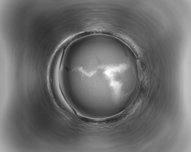 X0000087630680200705101028