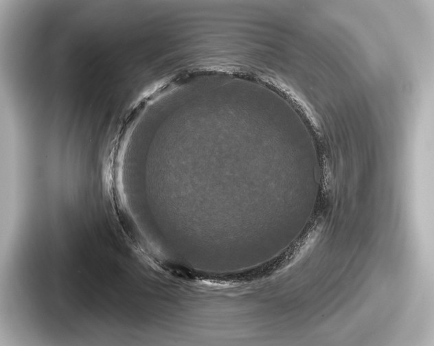 X0000087630681200705101028