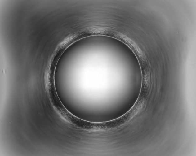 X0000087630682200705101028