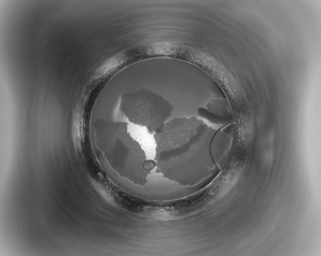 X0000087630683200705101028