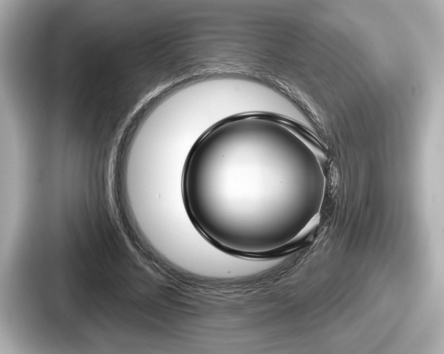 X0000087630684200705101028