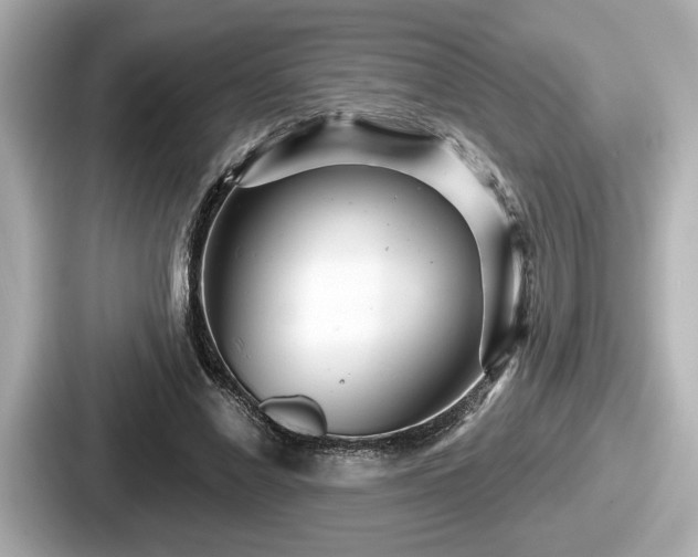 X0000087630685200705101028