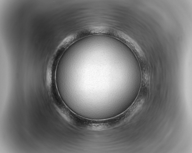 X0000087630686200705101028