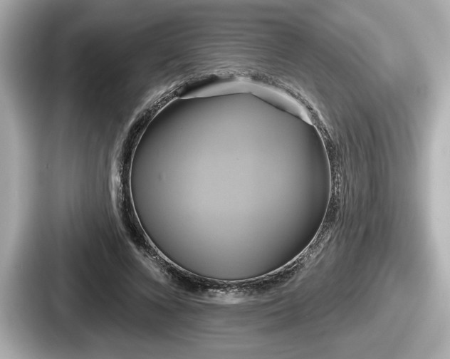 X0000087630688200705101028