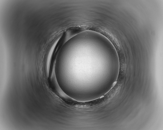 X0000087630689200705101028