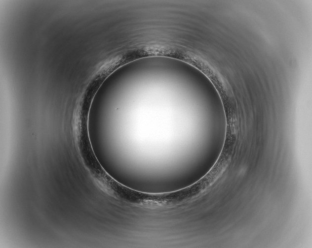 X0000087630690200705101028