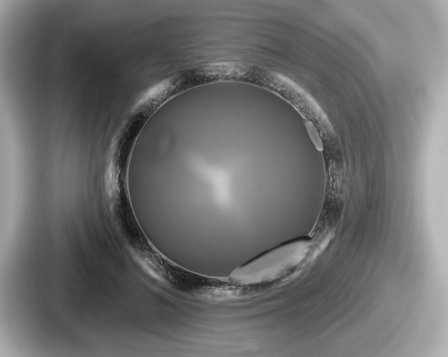 X0000087630692200705101028