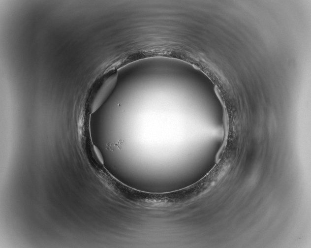 X0000087630693200705101028