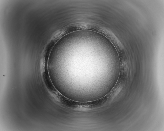 X0000087630694200705101028