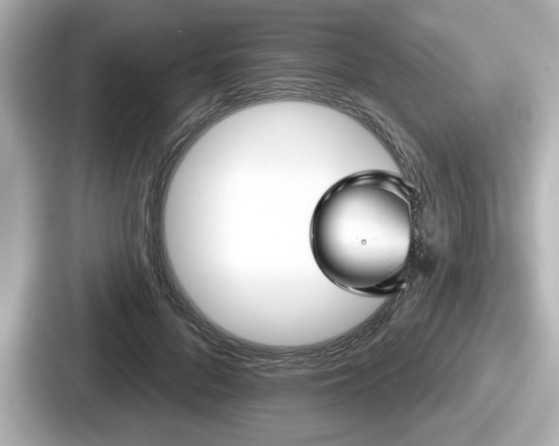 X0000087630696200705101028