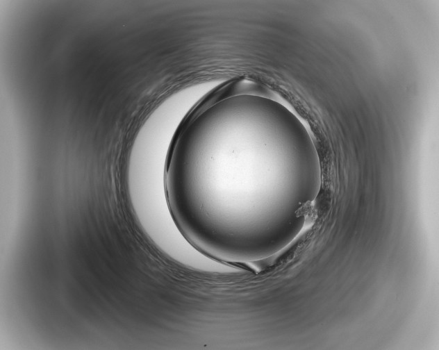 X0000087630697200705101028