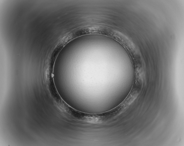 X0000087630698200705101028