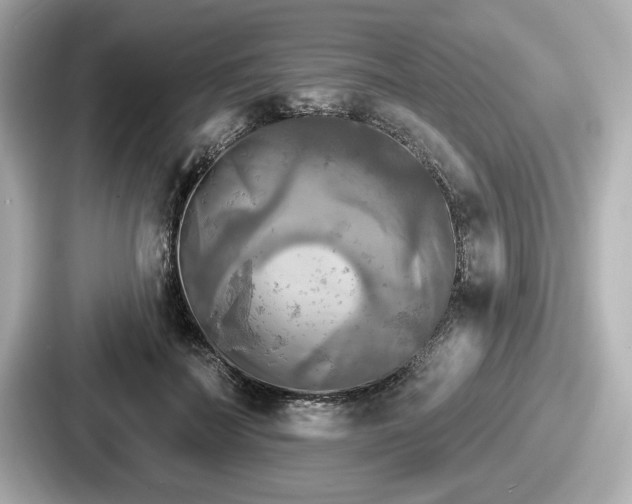 X0000087630699200705101028