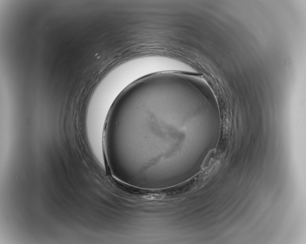 X0000087630700200705101028