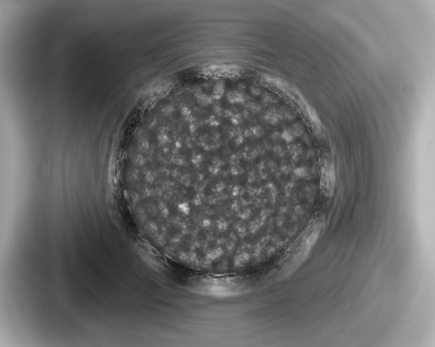 X0000087630701200705101028