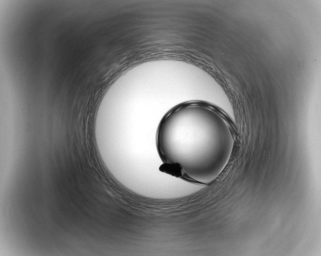 X0000087630704200705101028