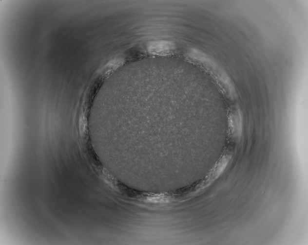 X0000087630705200705101028