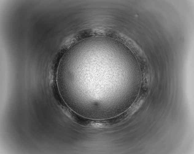 X0000087630706200705101028