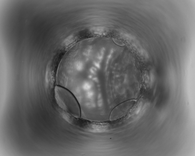 X0000087630707200705101028