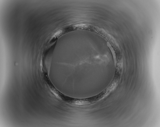 X0000087630708200705101028