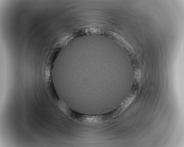 X0000087630709200705101028