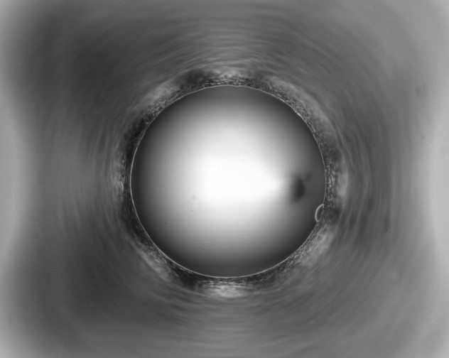 X0000087630710200705101028