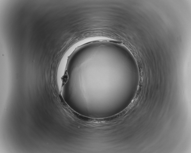 X0000087630712200705101028