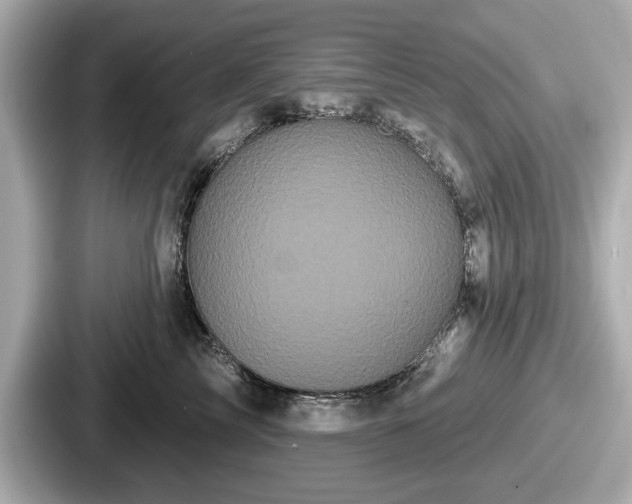 X0000087630713200705101028