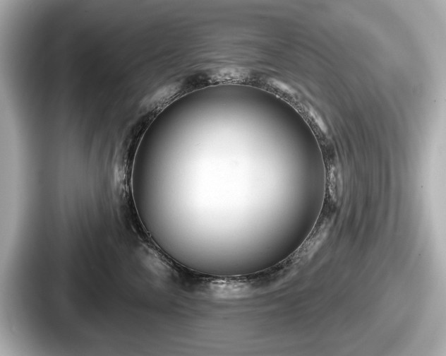 X0000087630714200705101028