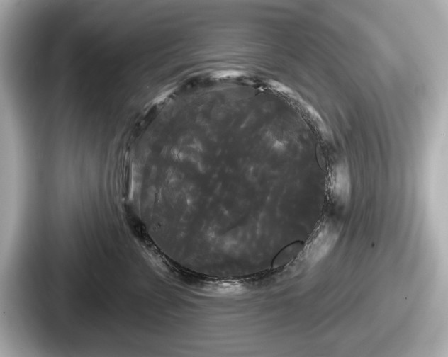 X0000087630715200705101027