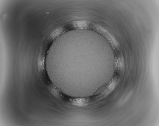 X0000087630717200705101027