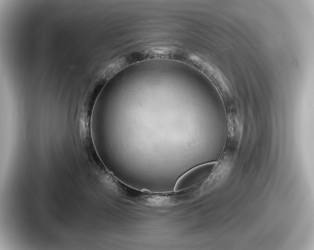 X0000087630718200705101027