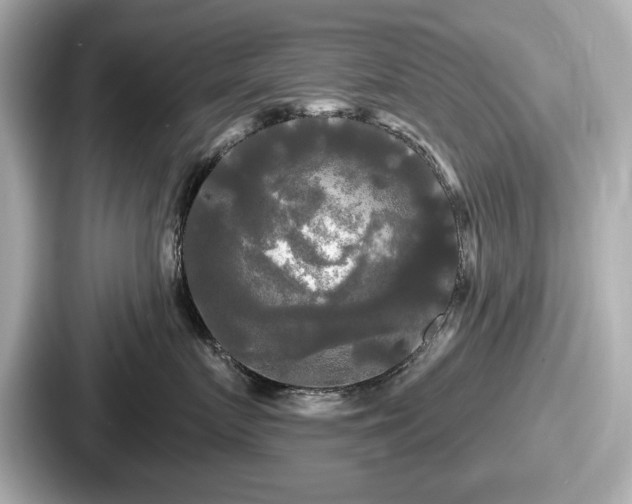 X0000087630719200705101027