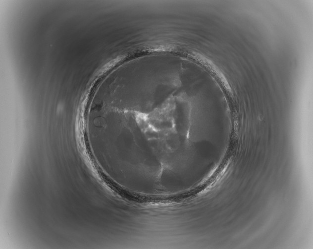 X0000087630721200705101027